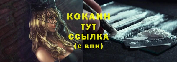 стаф Бронницы