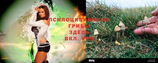 стаф Бронницы