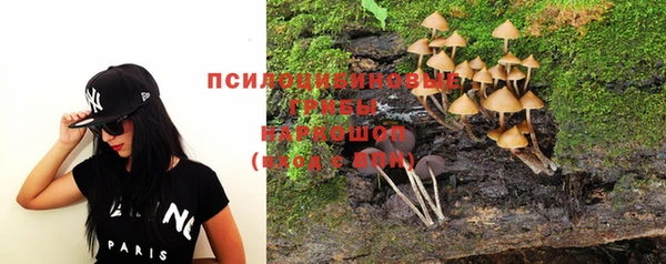 стаф Бронницы