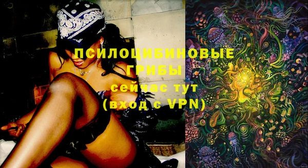 MDMA Бородино
